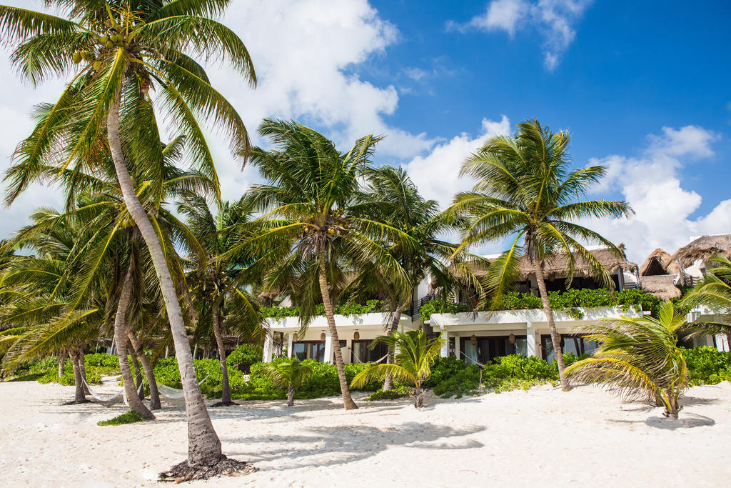The Beach Tulum Hotel エクステリア 写真