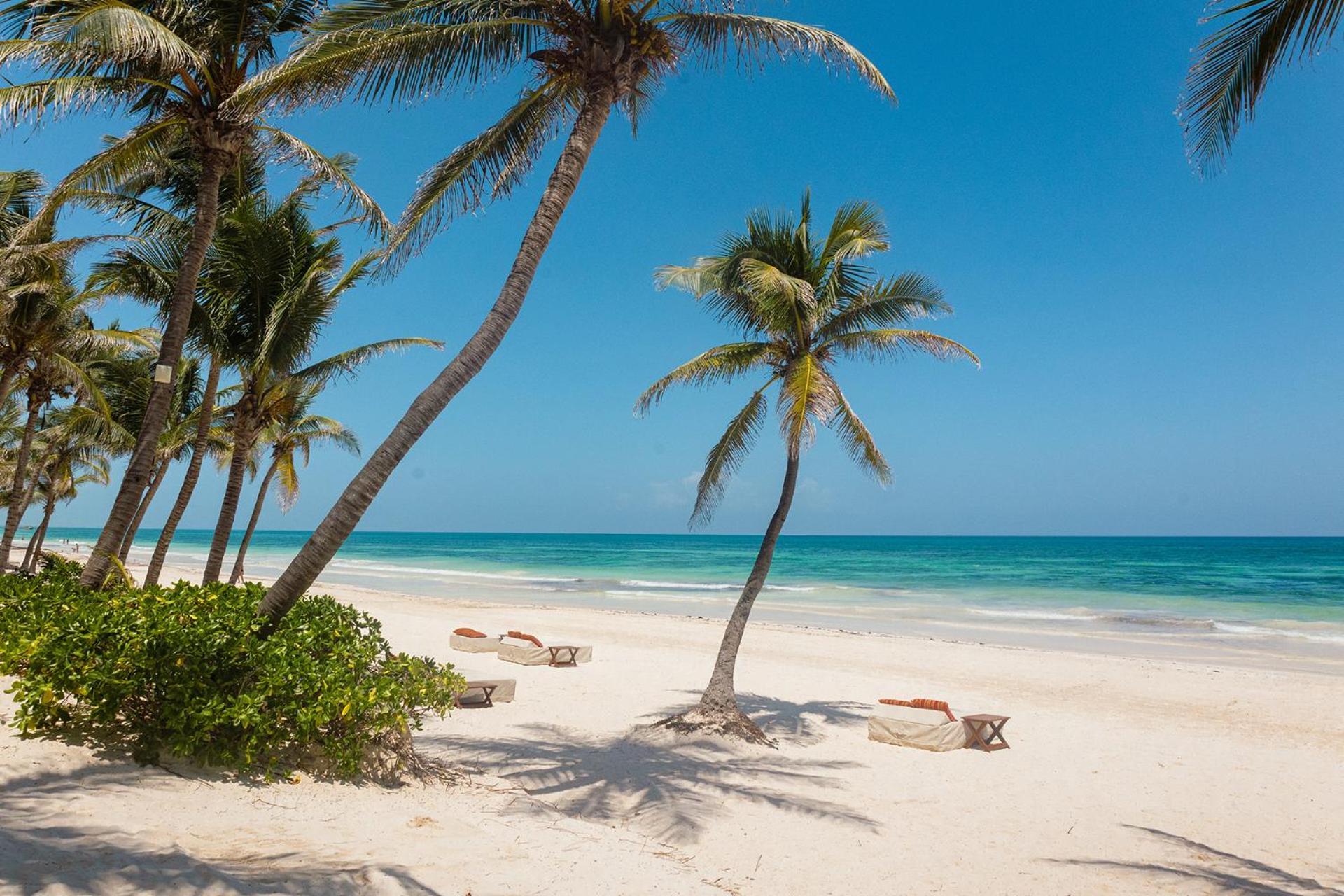 The Beach Tulum Hotel エクステリア 写真