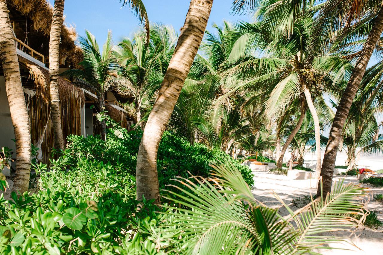 The Beach Tulum Hotel エクステリア 写真